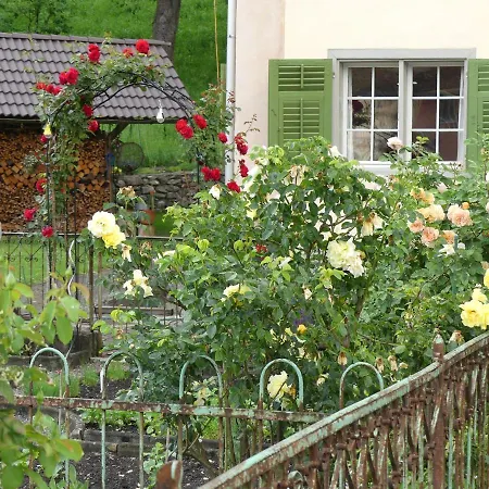 Apartment Alte Muehle